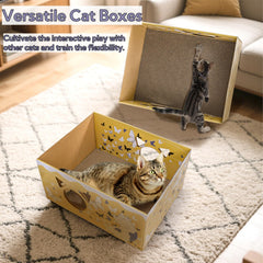 Tlence easy assembly no-tape setup demonstrates quick setup for instant cat play.