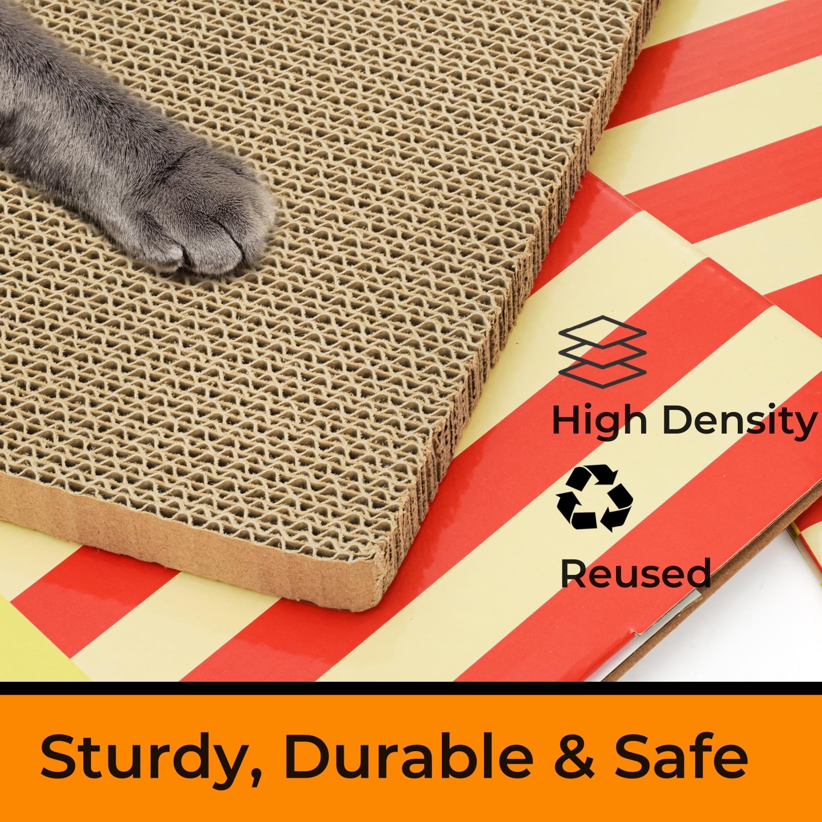 Tlence pizza shop cat house inside view reveals cozy retreat for cats.