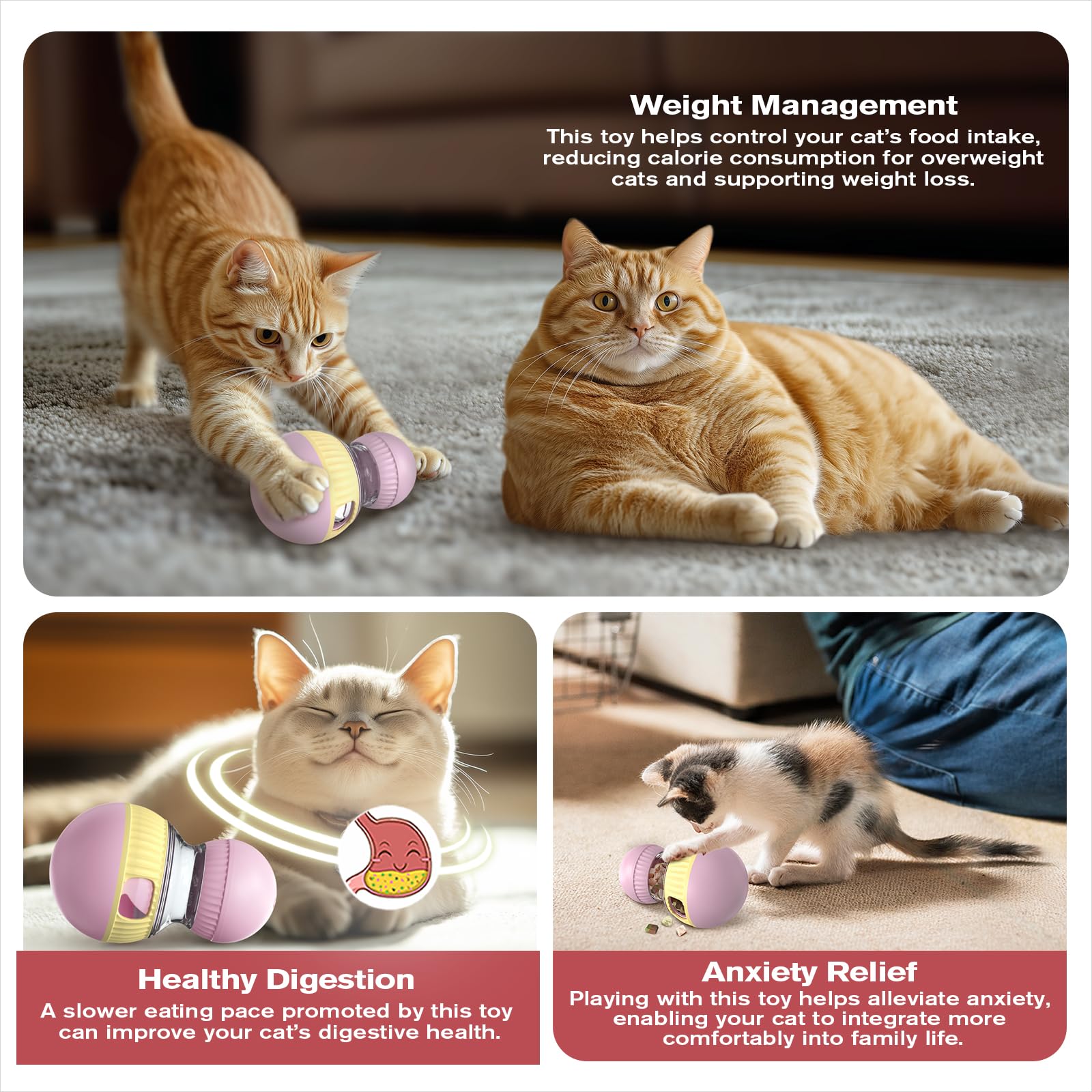TLKNG cat treat-dispensing toy cat playing-action shows indoor enrichment and active fun