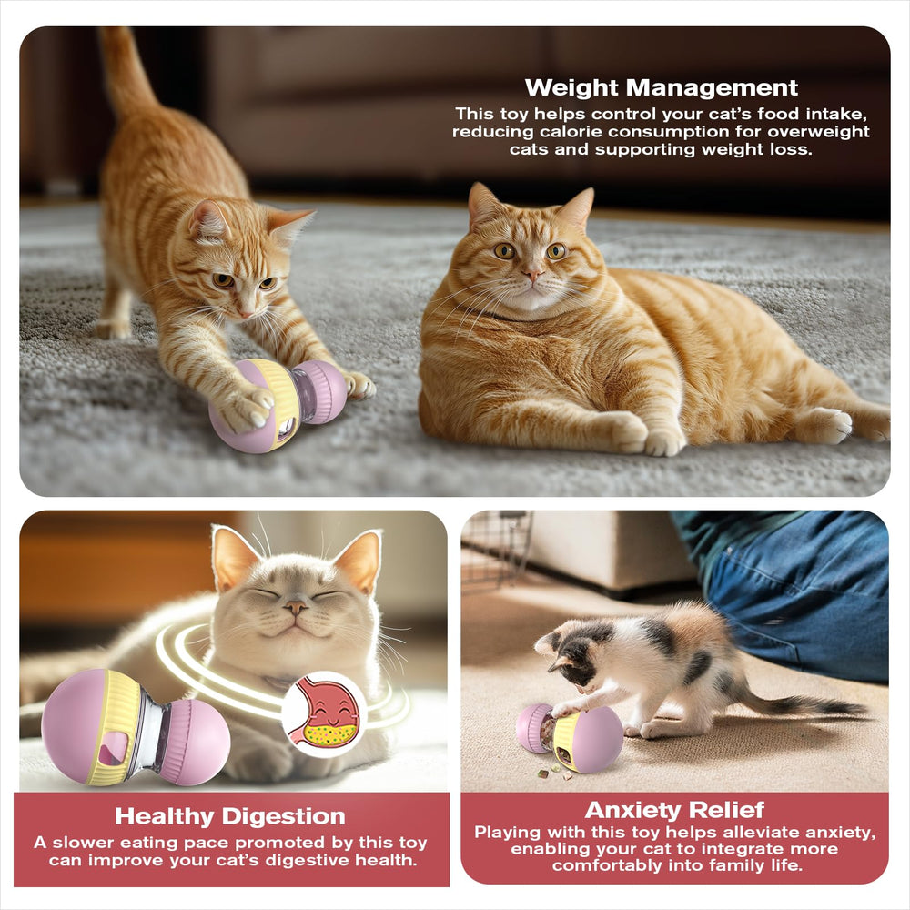 TLKNG cat treat-dispensing toy cat playing-action shows indoor enrichment and active fun