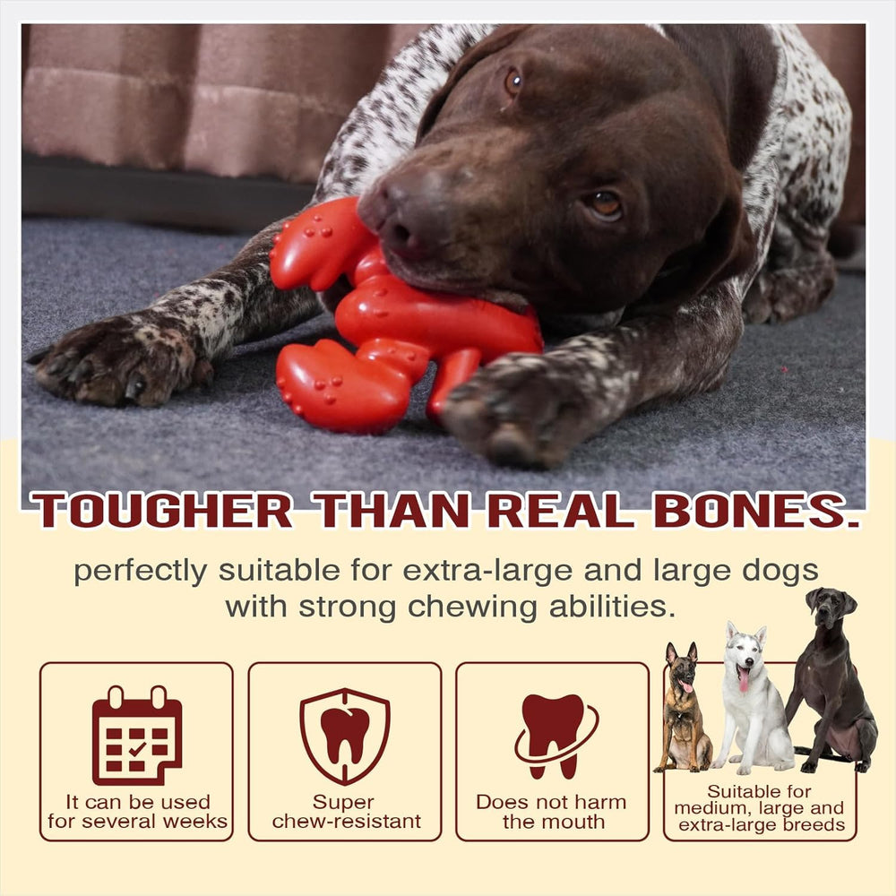 TLKNG Lobster Dog Chew Toy chewing-action closeup, cleans teeth while satisfying oral chewing needs.