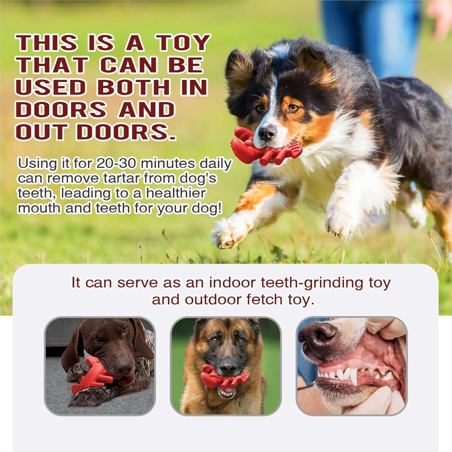 TLKNG Indestructible Lobster Toy made with food-grade nylon and coffee wood fiber.