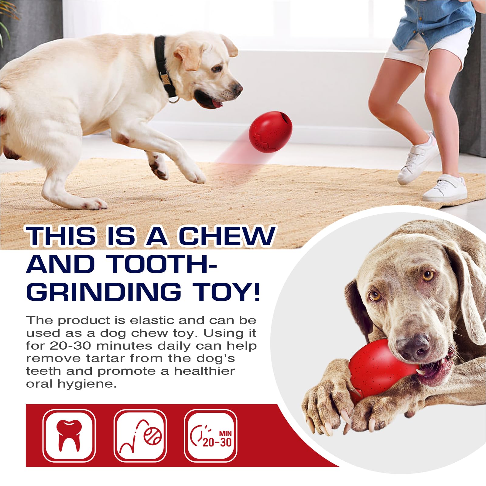 TLKNG large dog filler toy easy-clean shows quick wash and sanitation after play