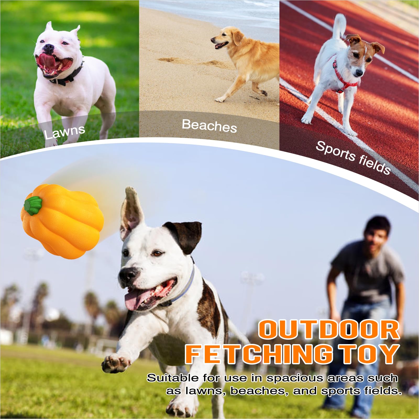 TLKNG durable outdoor-fetch toy stands up to big dogs and rough play.
