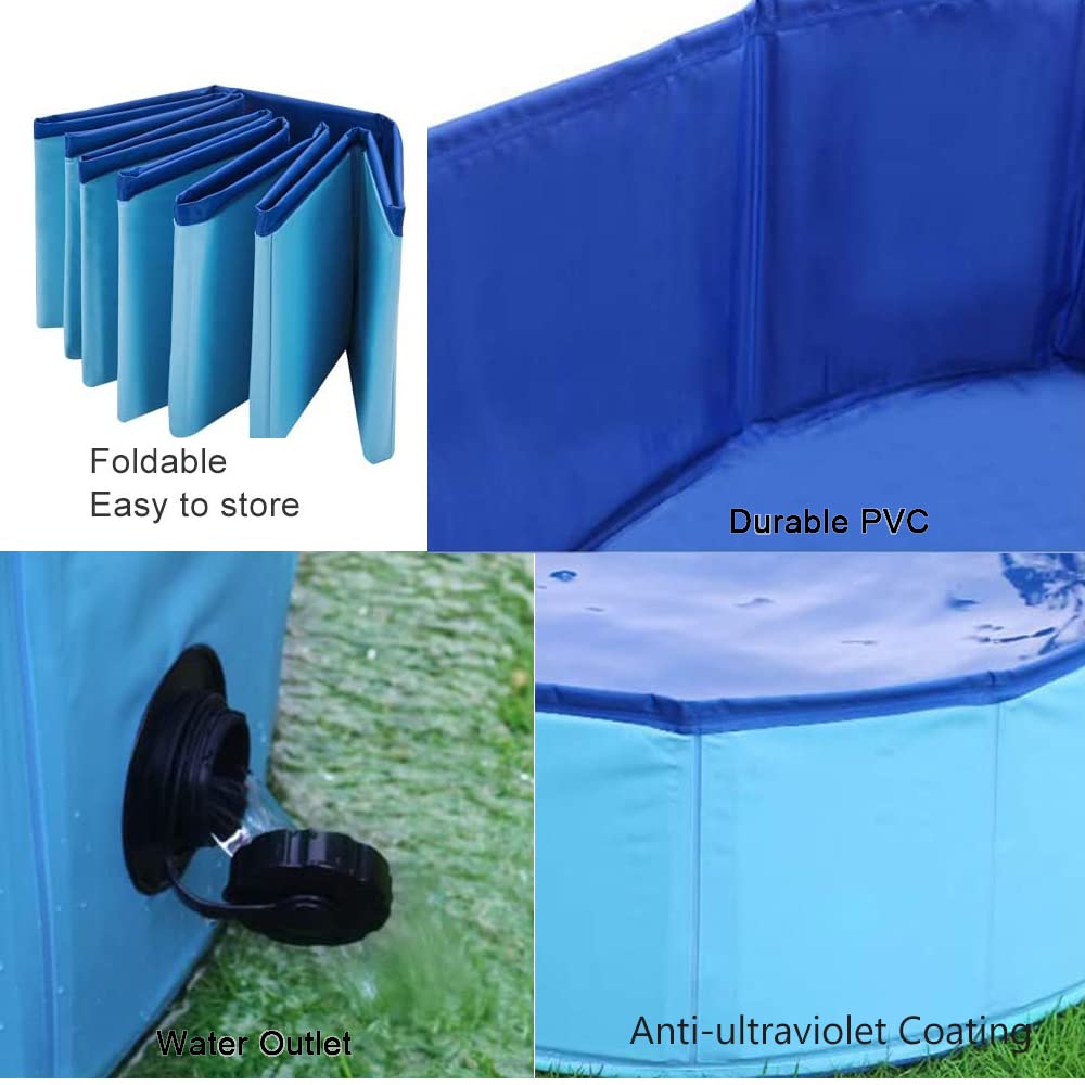 TMbsfatn dog pool cleaning-maintenance shows simple care steps.