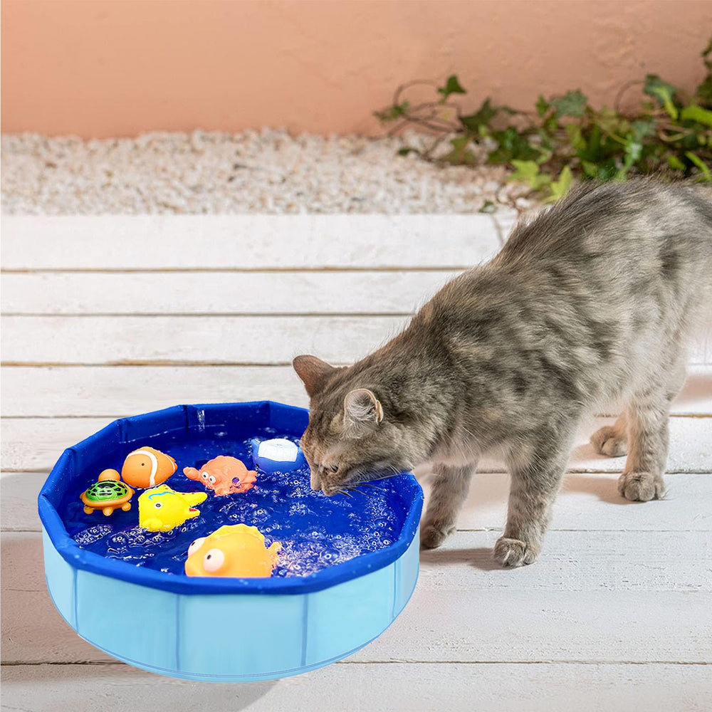 TMLDOT Cat Bathing Tub Use highlights multi-purpose function for bath time