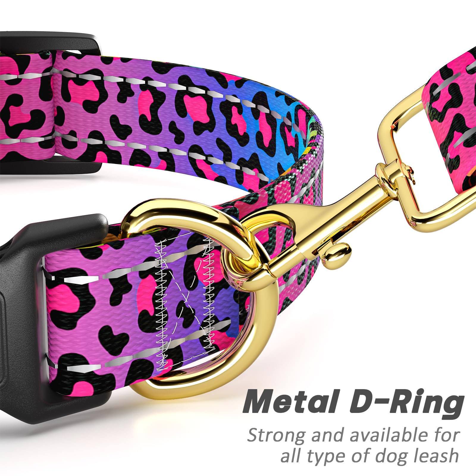 TMOODEL adjustable collar sizes – customizable fit for all dog shapes.