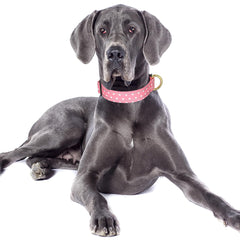 TMOODEL pink-heart collar features adjustable nylon strap for a comfy, secure fit.