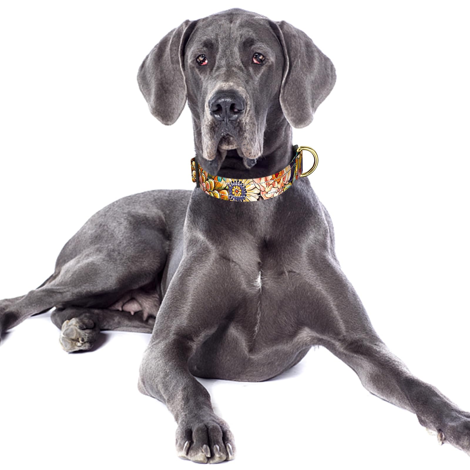 TMOODEL boho design collar adds cute style with a comfortable, gentle feel.