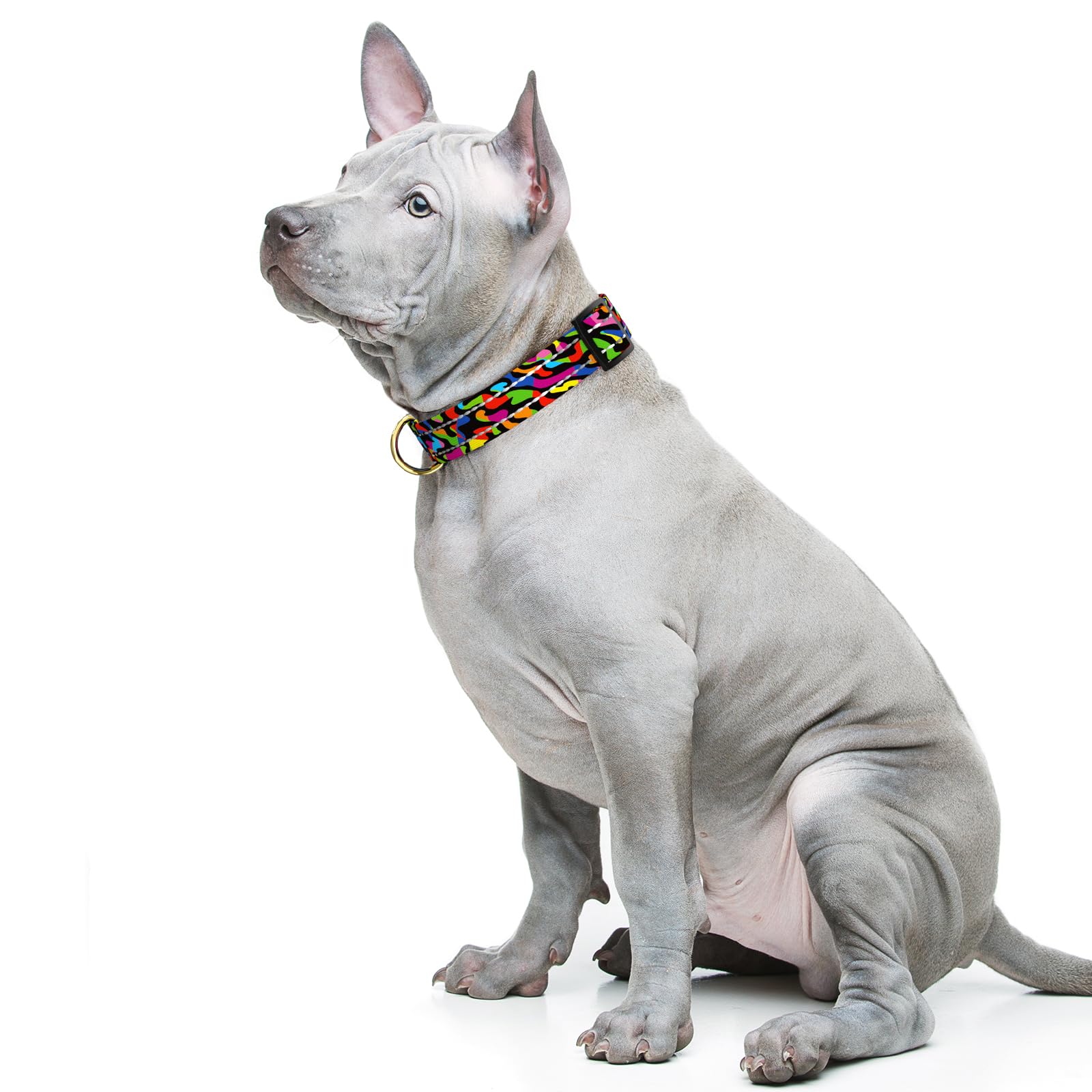 TMOODEL cute boho dog collar adds stylish flair for daily outings.