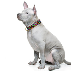 TMOODEL cute boho dog collar adds stylish flair for daily outings.