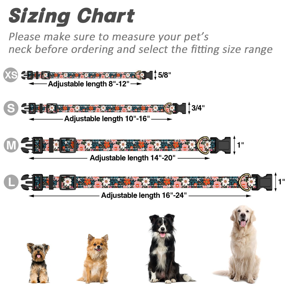 TMOODEL medium dog collar sized for various breeds.