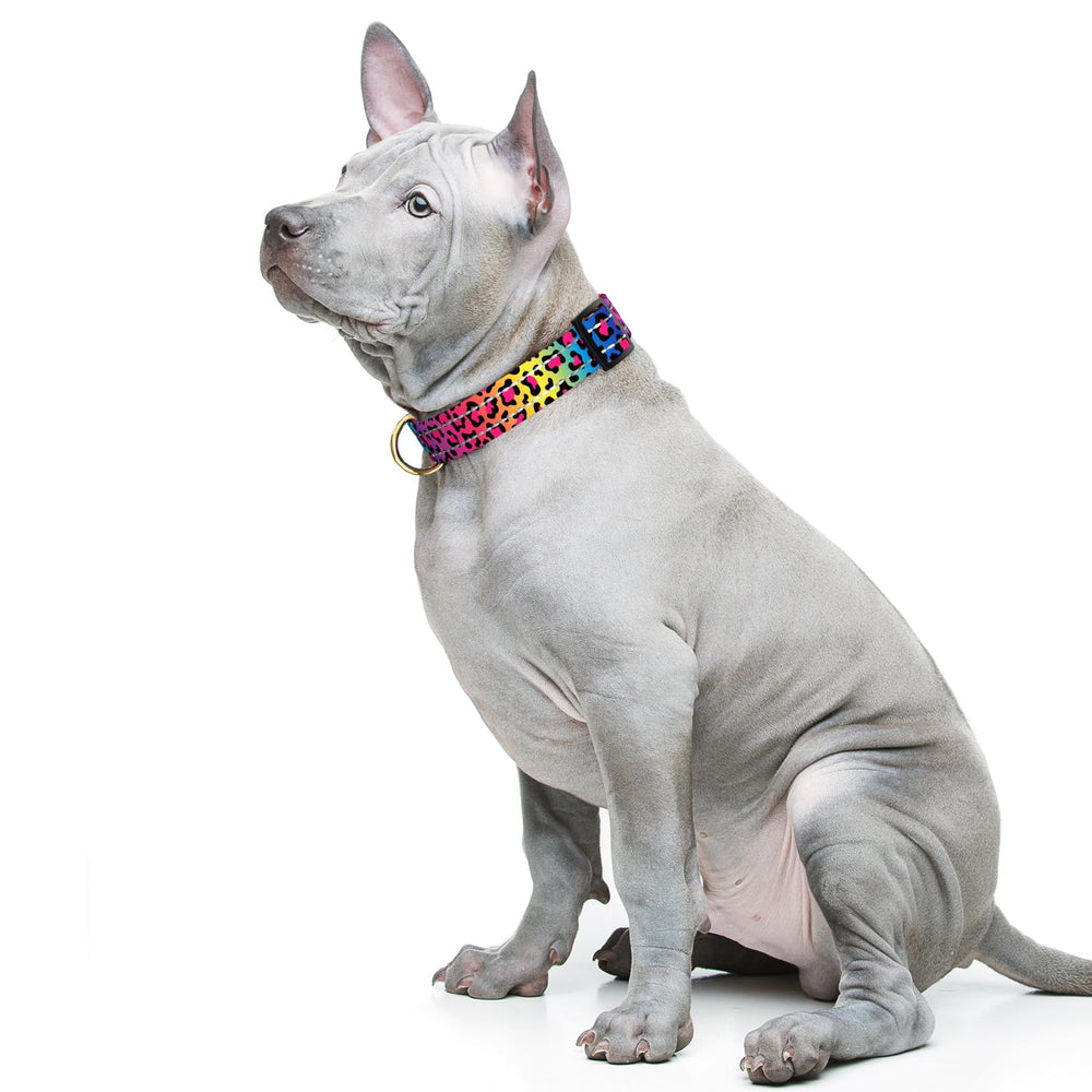 TMOODEL puppy collar in soft nylon for comfortable everyday wear