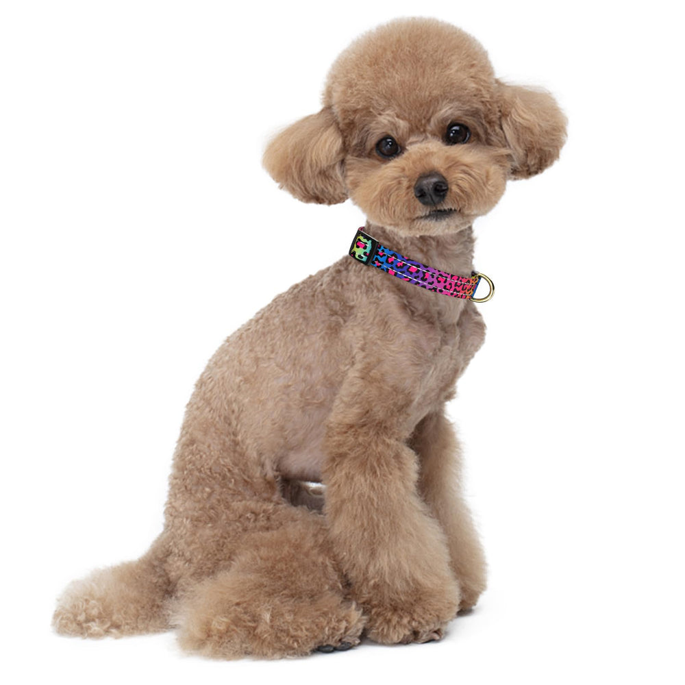 TMOODEL puppy collar with quick-release buckle for easy on/off.