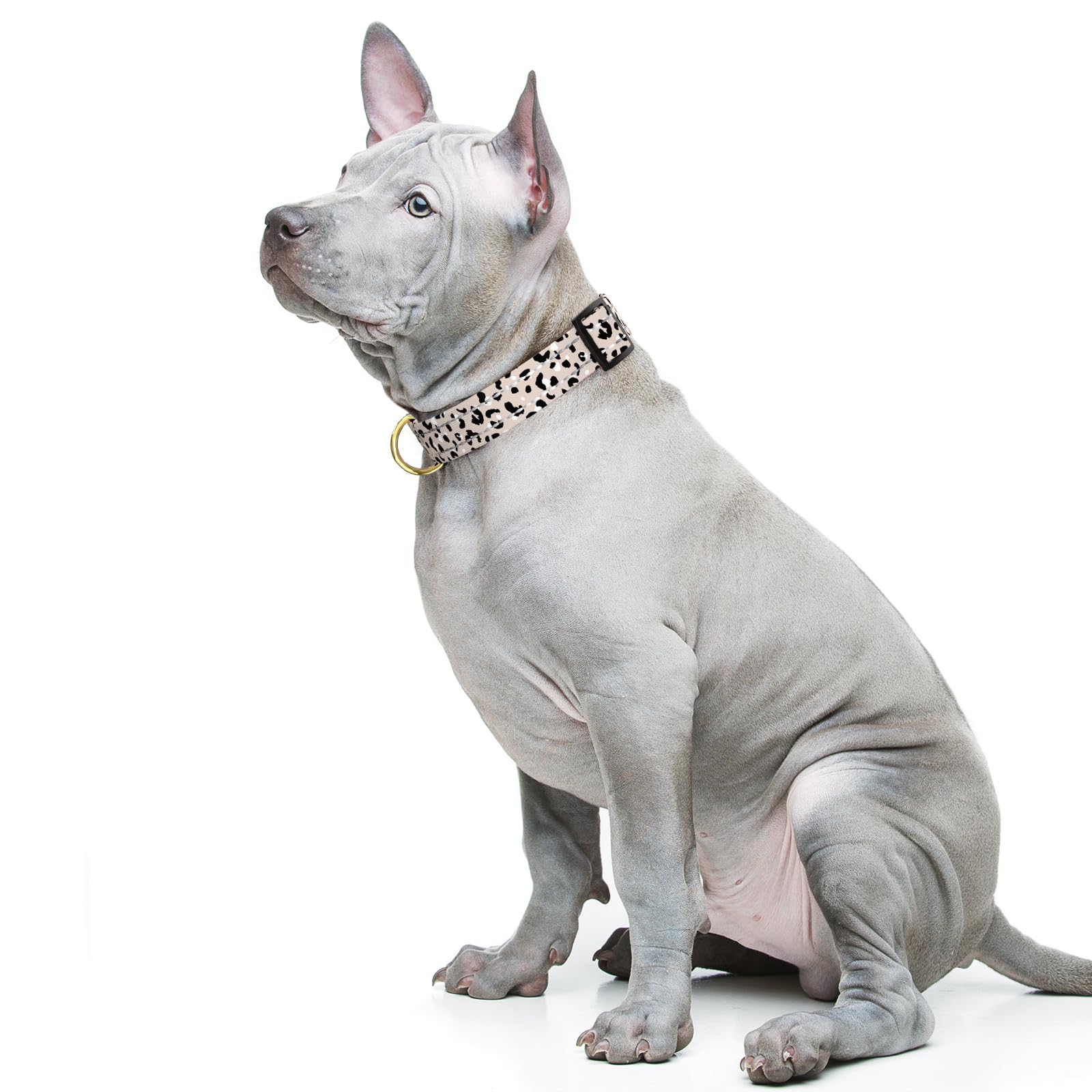 TMOODEL quick-release buckle collar for easy on/off