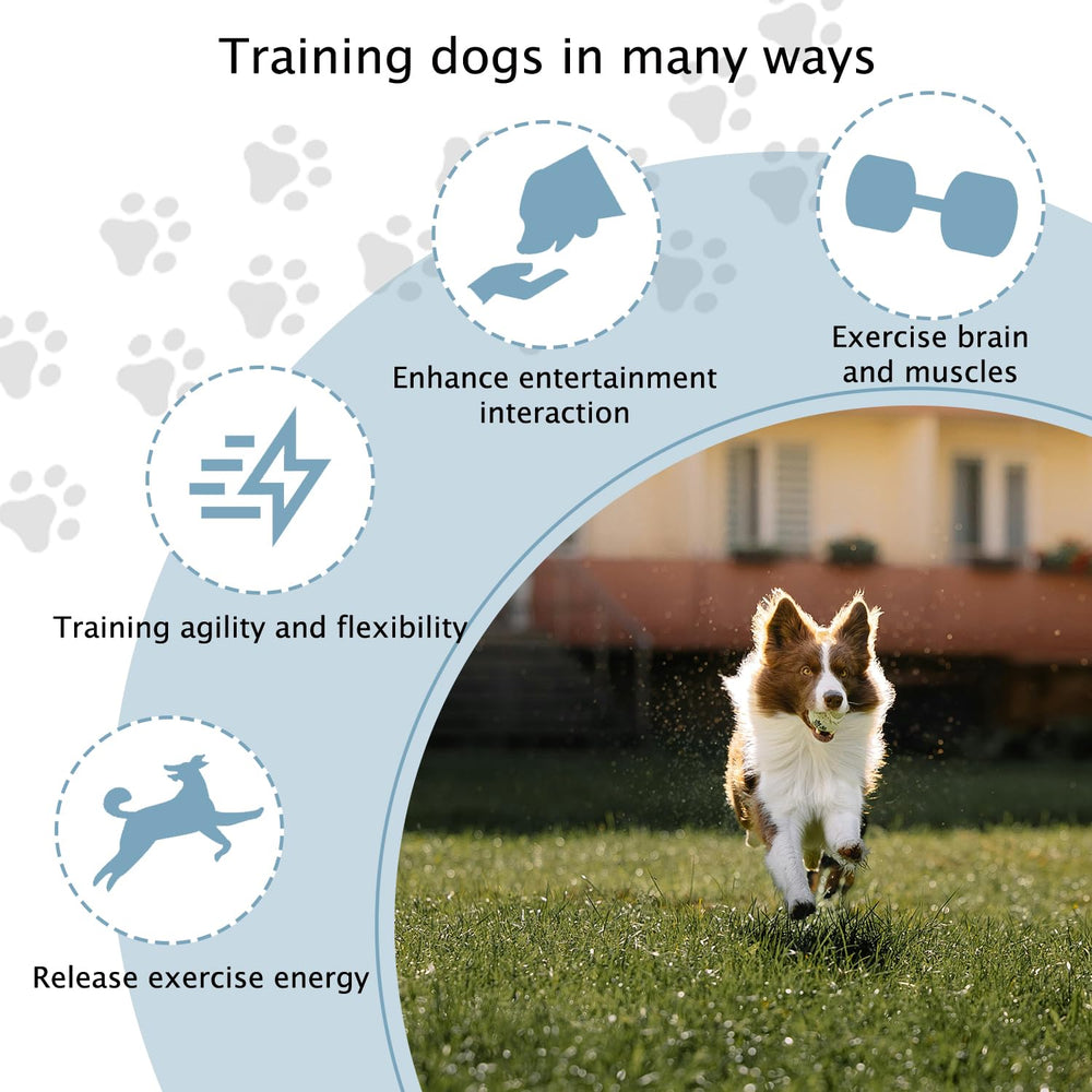 TNZMART backyard dog training course setup in sunny yard