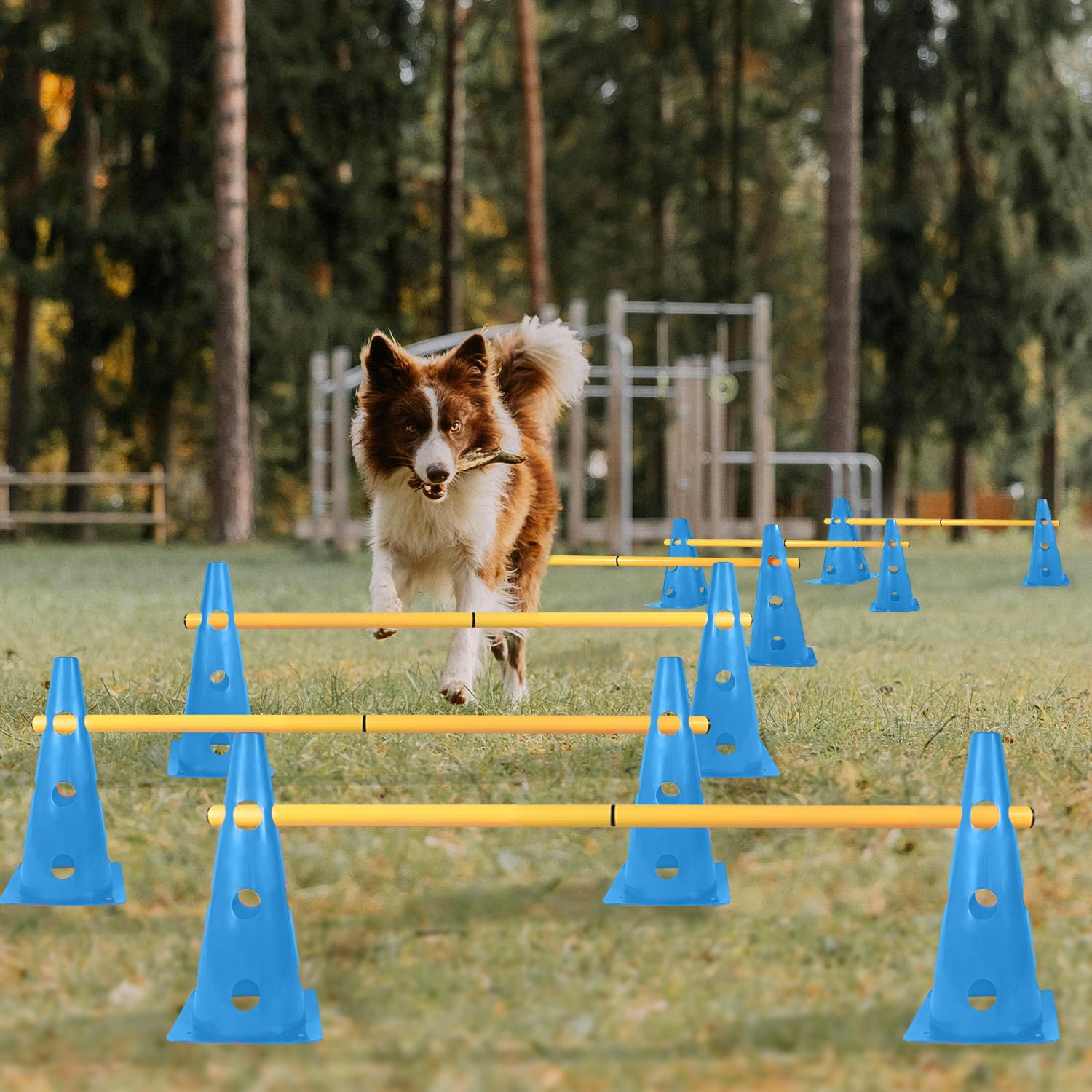 TNZMART dog agility hurdle cones blue durable LDPE and ABS materials for durability