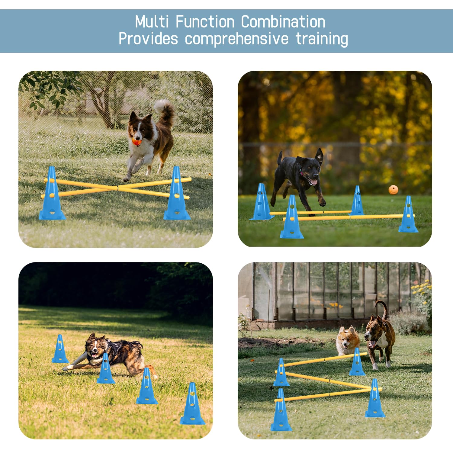 TNZMART dog agility set blue quick-setup for varied obstacle layouts