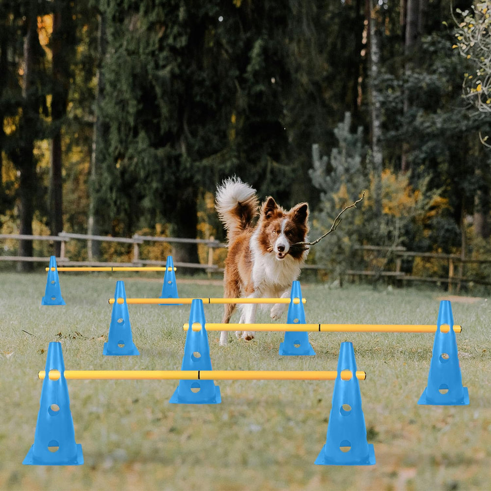 TNZMART dog training action blue dog jumps through obstacles in yard