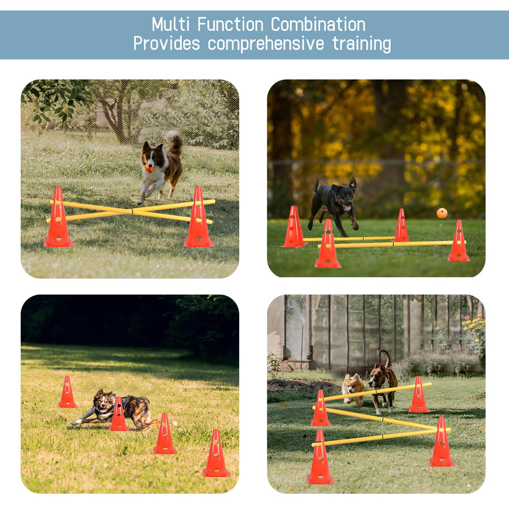 TNZMART orange hurdle in use during active play sessions to stimulate engagement