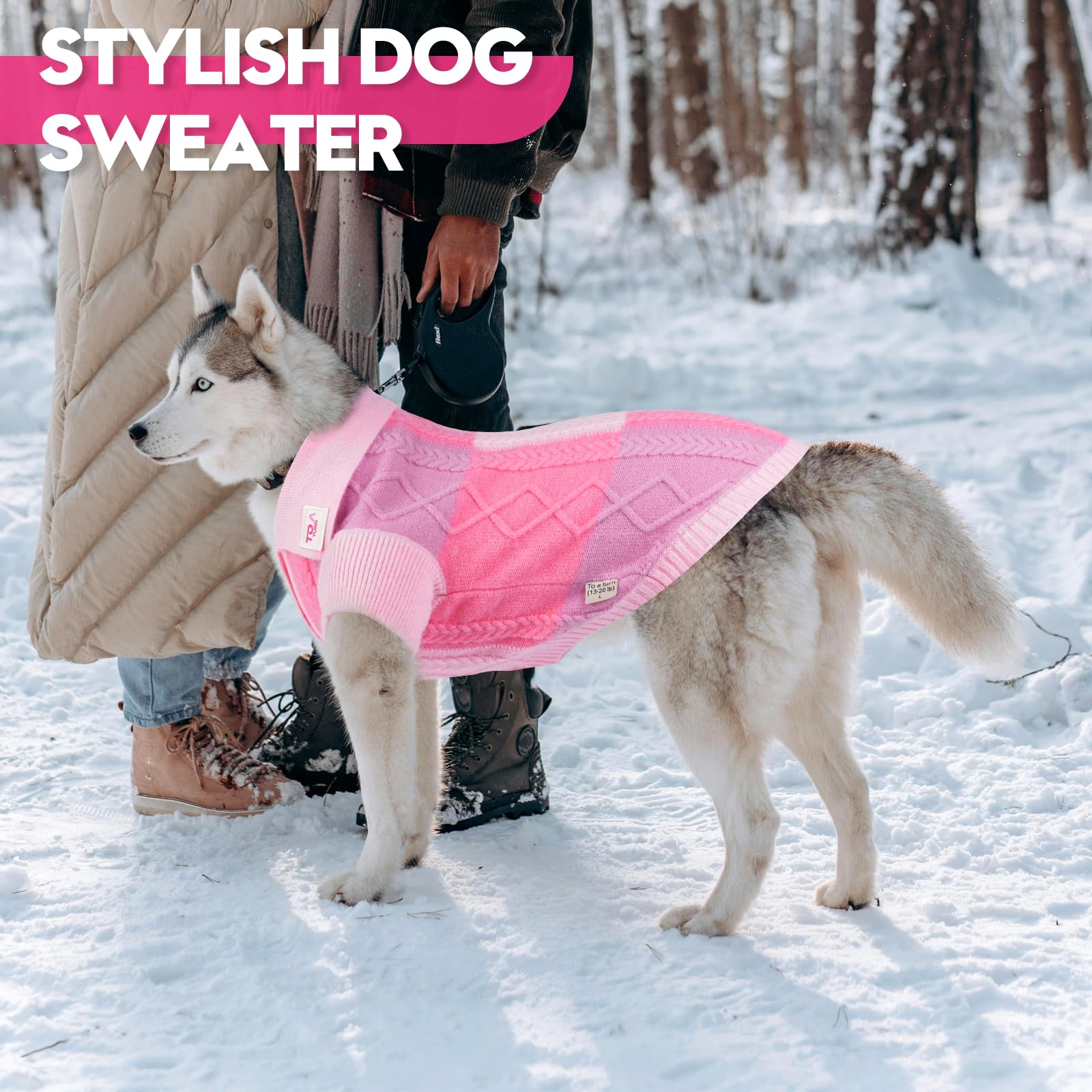 To A Turn color-hanging-hair and twisted rope pattern image, vibrant fashion for dogs.
