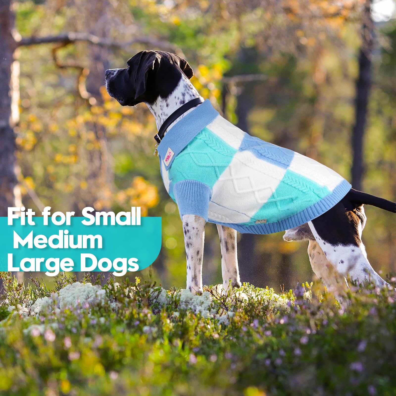 To A Turn pullover dog sweater blue group lapel detail adds stylish, versatile dog fashion.