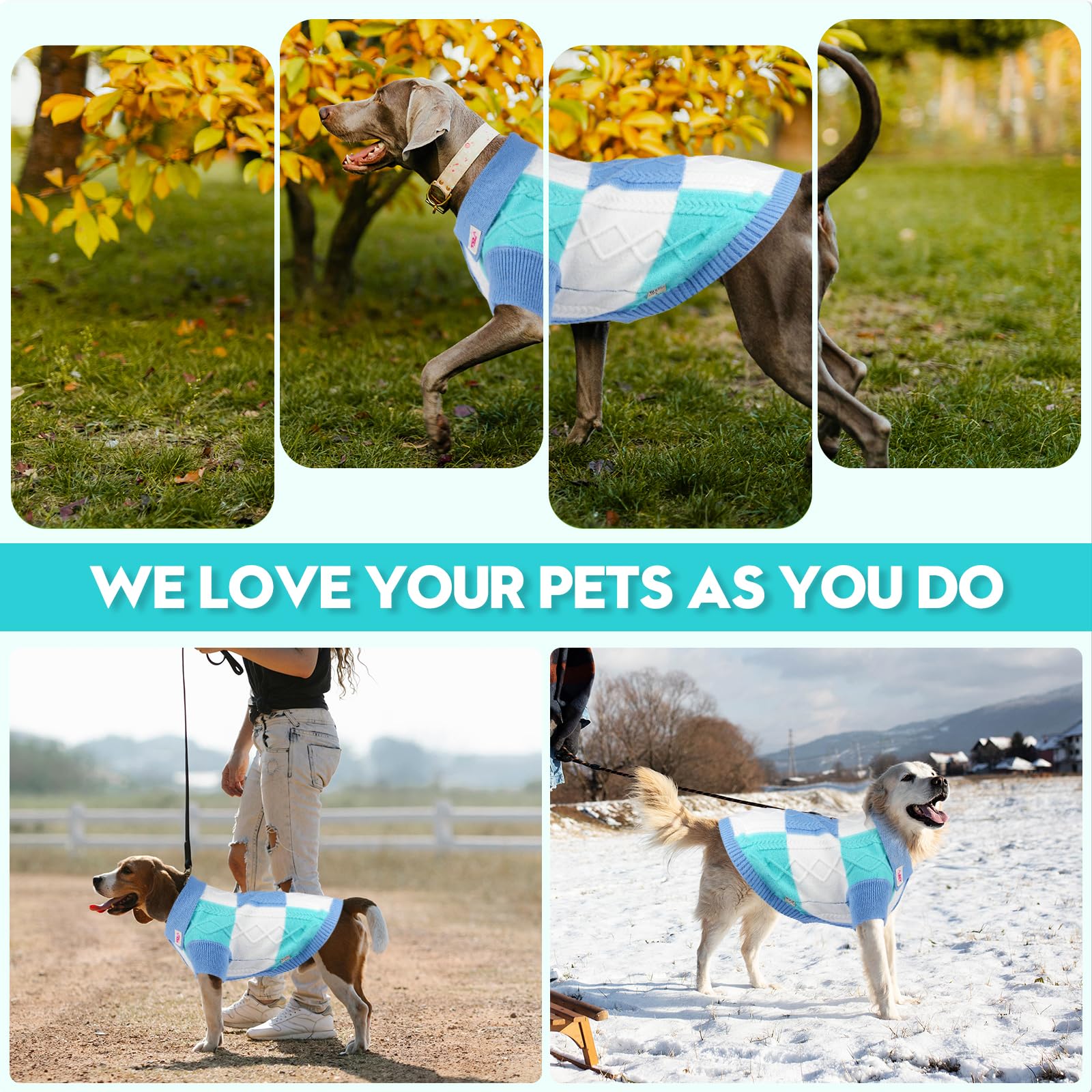 To A Turn pullover dog sweater blue group wearability for daily wear and occasions.