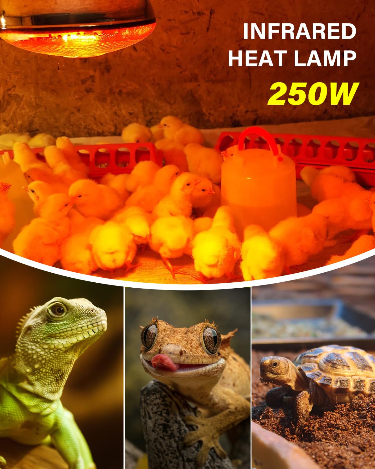 Tobebright 250W infrared red light delivers reliable warmth for brooders and pets.