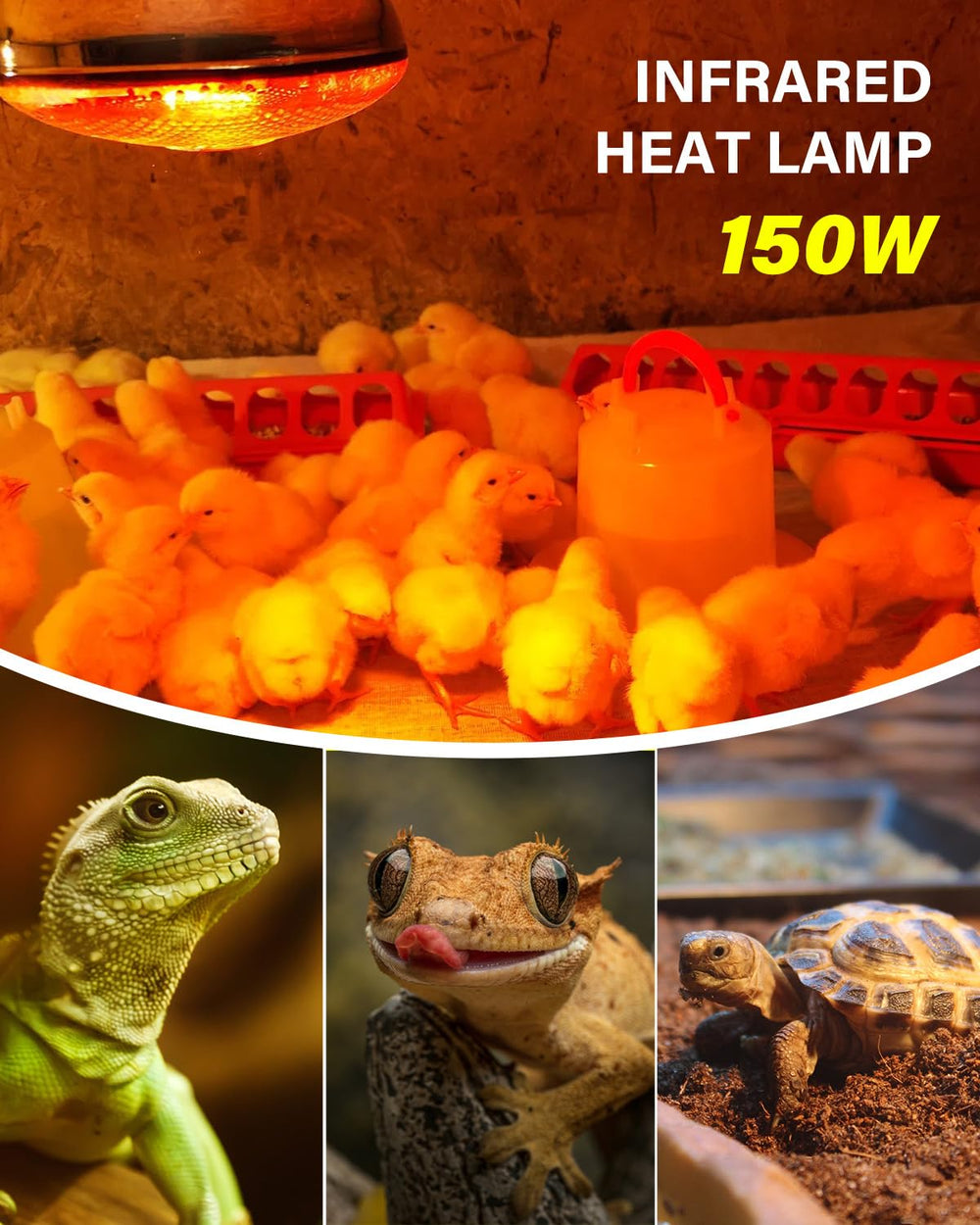 TobeBright heat lamp with plug-in cord and switch enables quick, controlled warmth.