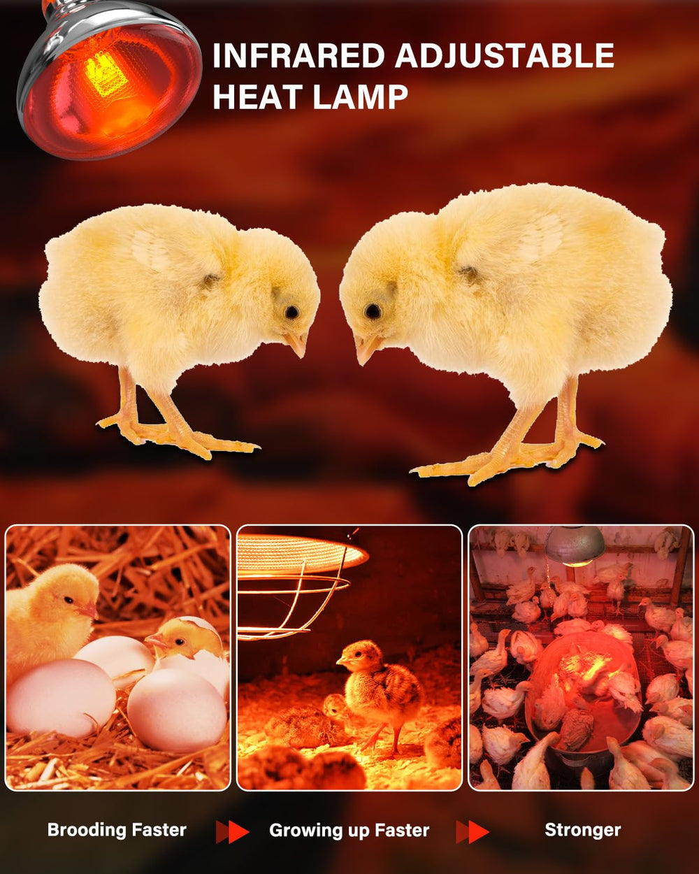 Tobebright thick-glass construction offers durable heat lamp performance.