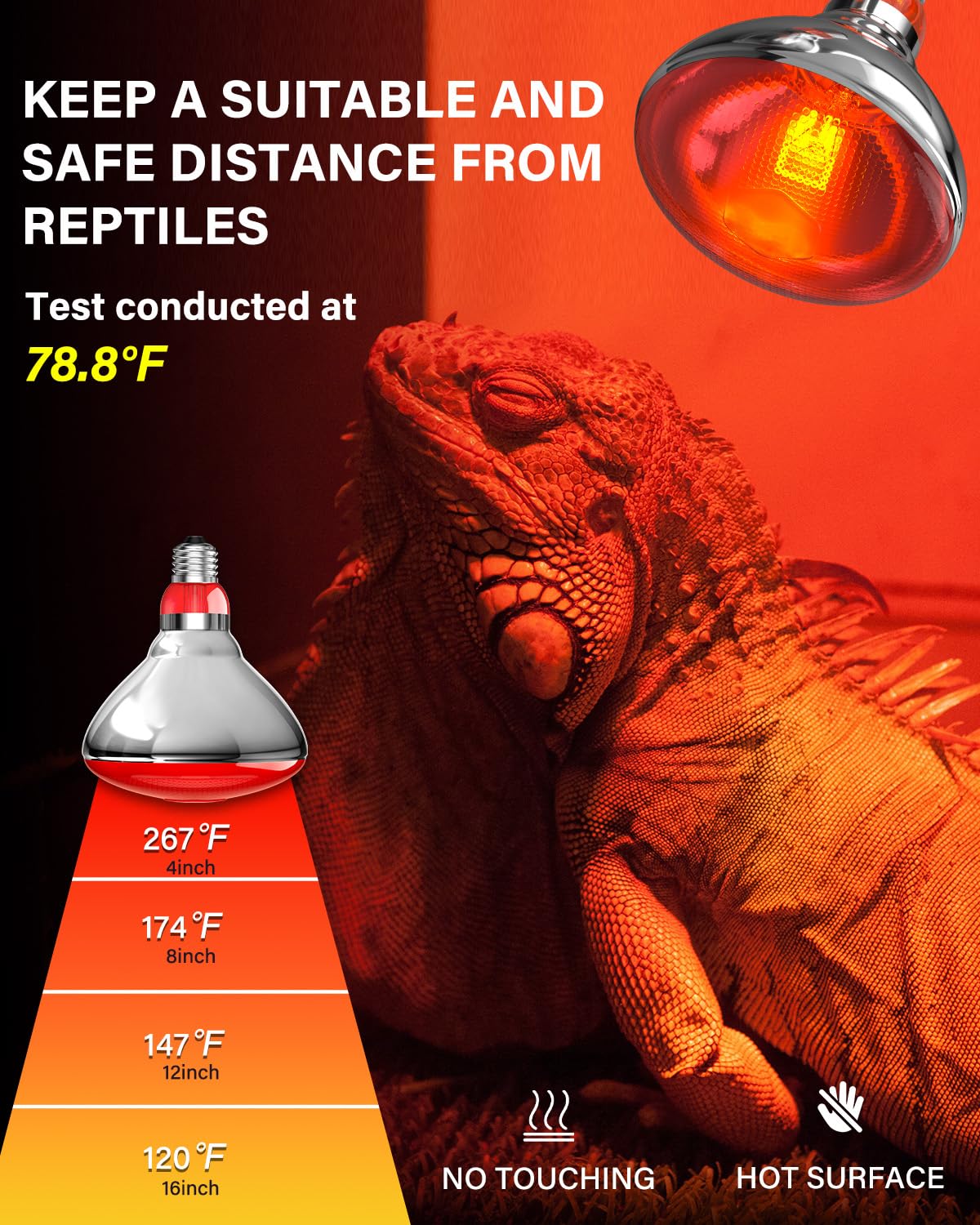 Tobebright 250W bulb supports chicks, ducks, birds, dogs, cats, and reptiles.