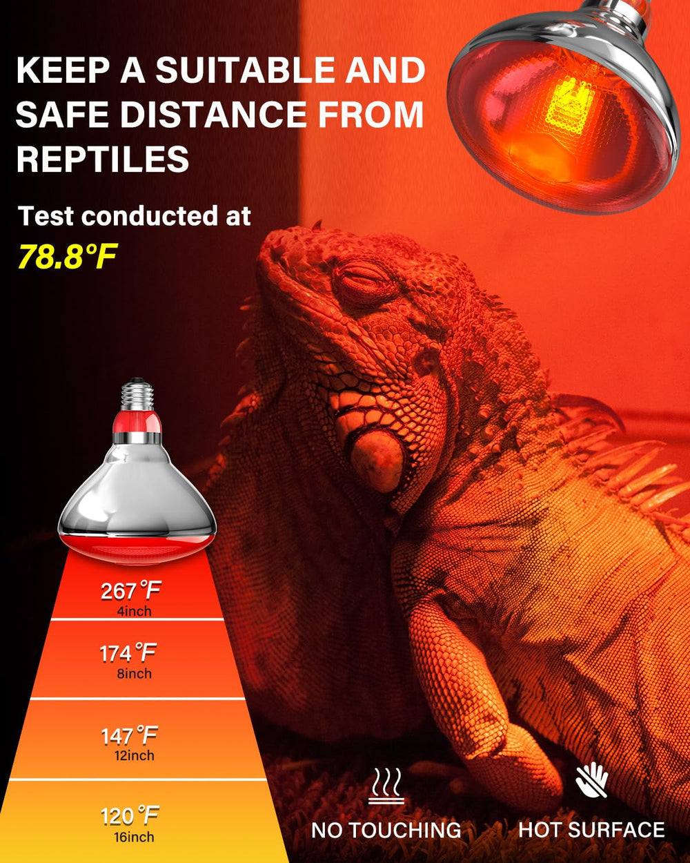 Tobebright 250W bulb supports chicks, ducks, birds, dogs, cats, and reptiles.