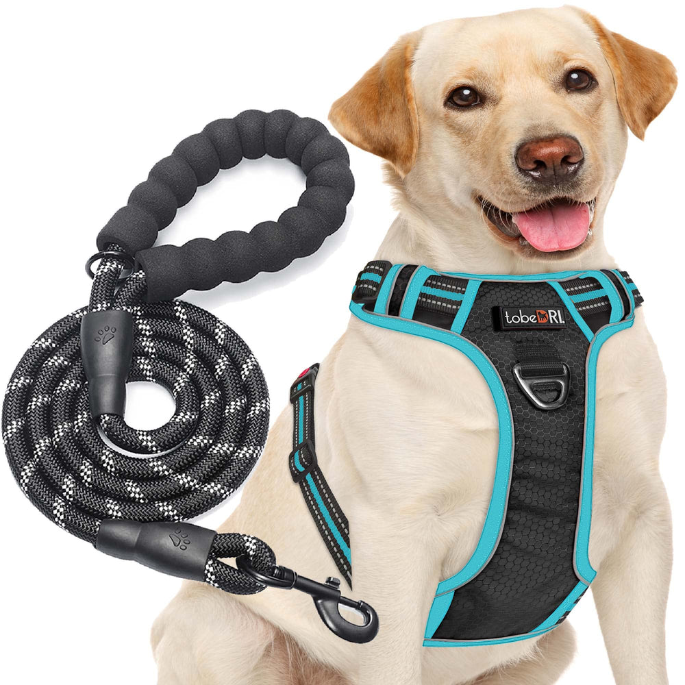 tobeDRI no-pull dog harness front clip for easier control during walks
