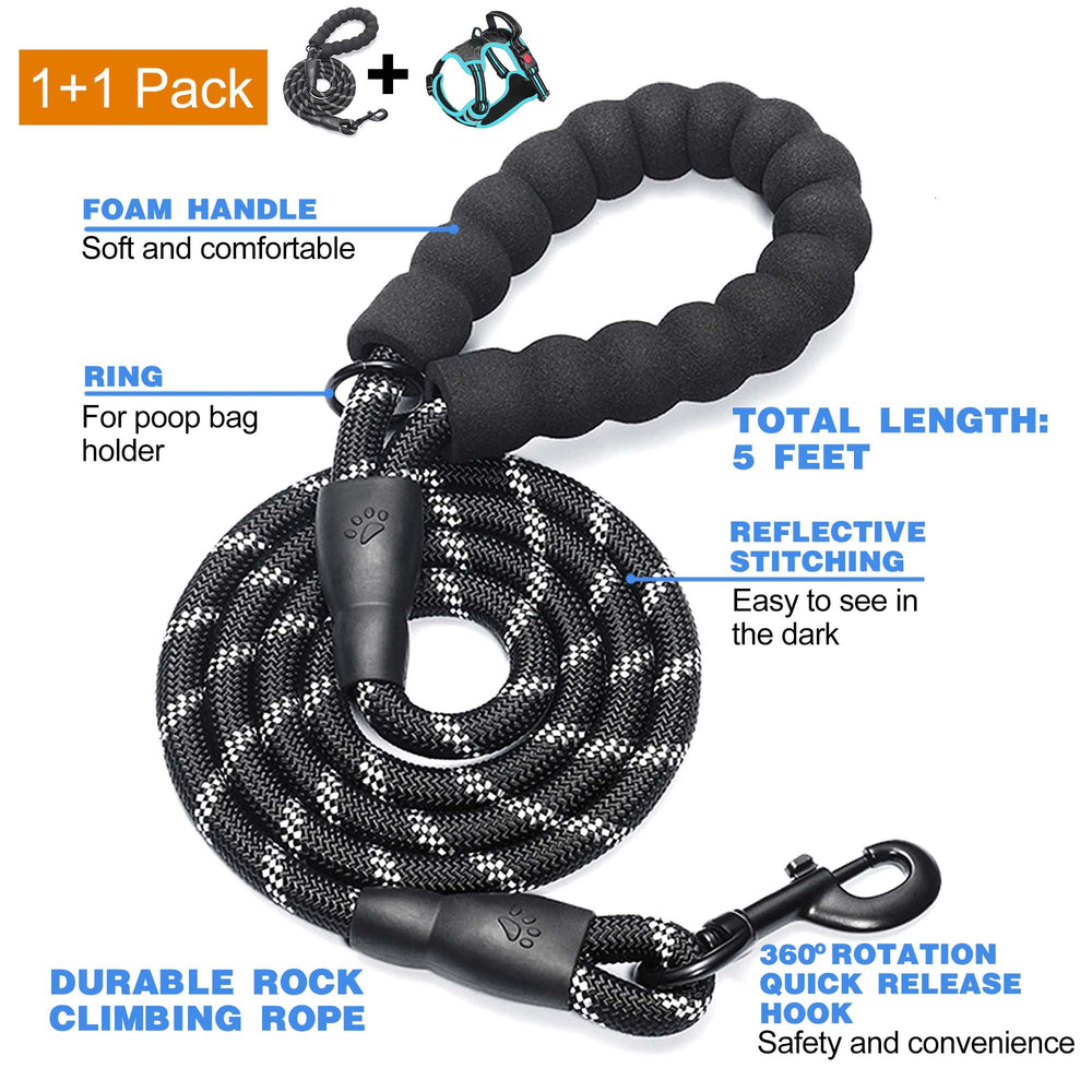tobeDRI No Pull Harness back-clip for comfortable, relaxed walks.