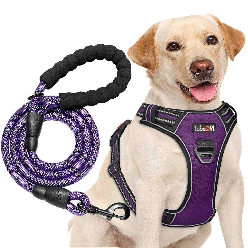 tobeDRI No Pull Harness with front/back rings for versatile, restrained walks.
