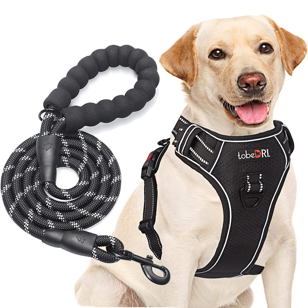 tobeDRI no-pull harness front rings distribute pressure for calmer, controlled walks