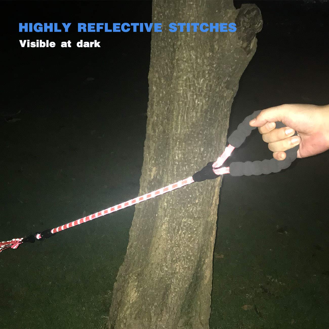 tobeDRI Pink two-dog leash configured for urban walks with hands-free control.