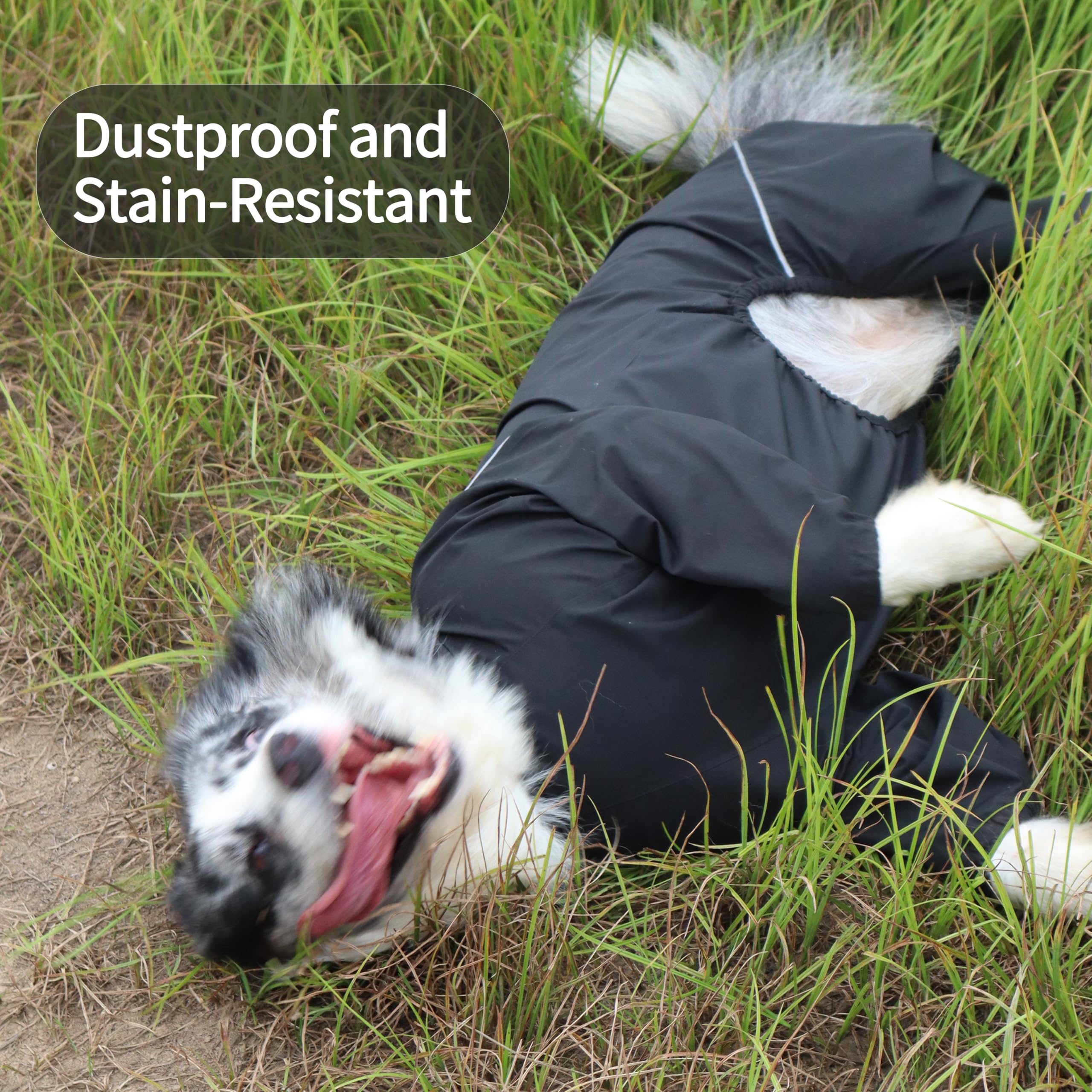 TOBOSS dog raincoat belly strap close-up shows secure, adjustable fit.