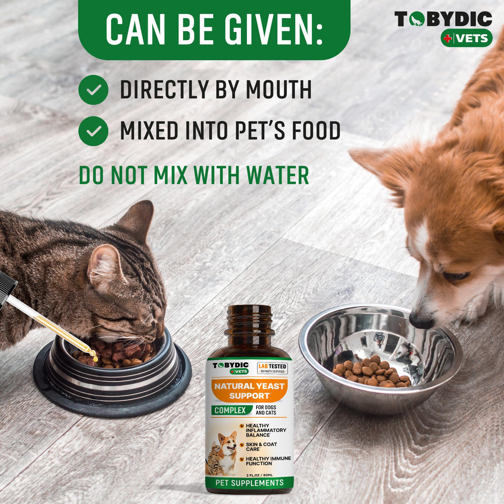 TOBYDIC dogs cats using relief scene shows pets comfortable after application.