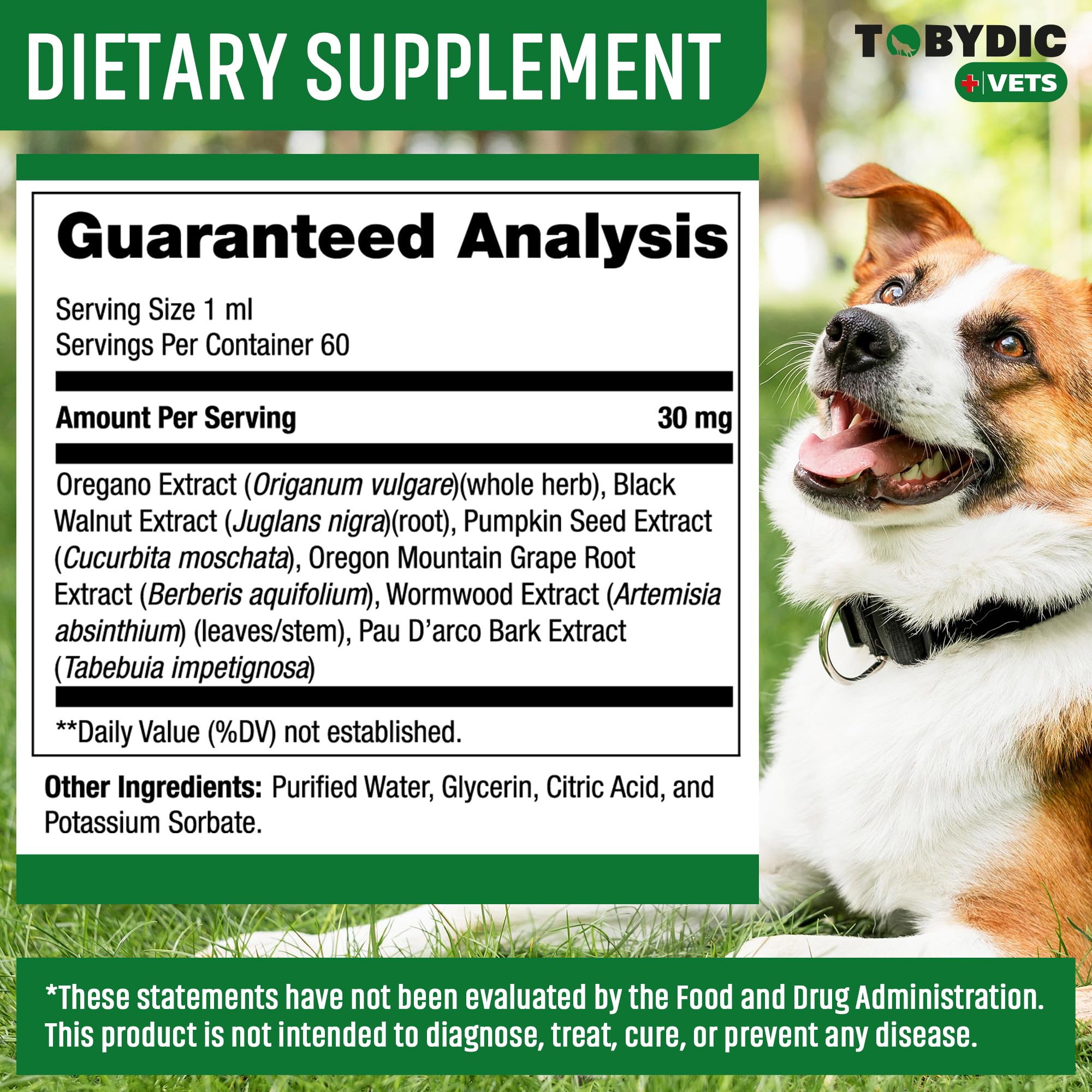 TOBYDIC gut health illustration suggests supporting digestive balance in pets.