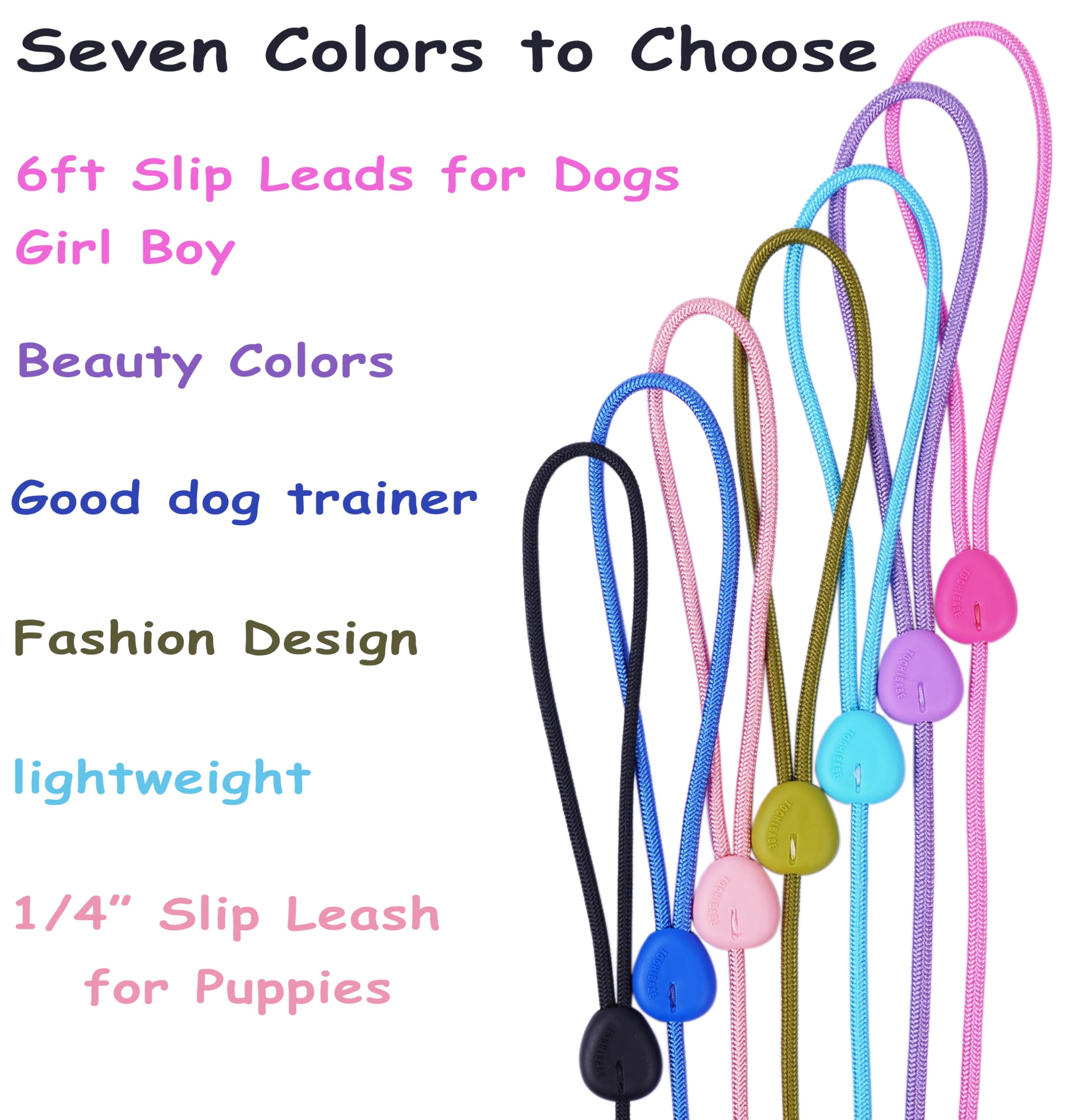 Tochibabe slip lead in use shows practical everyday canine control.