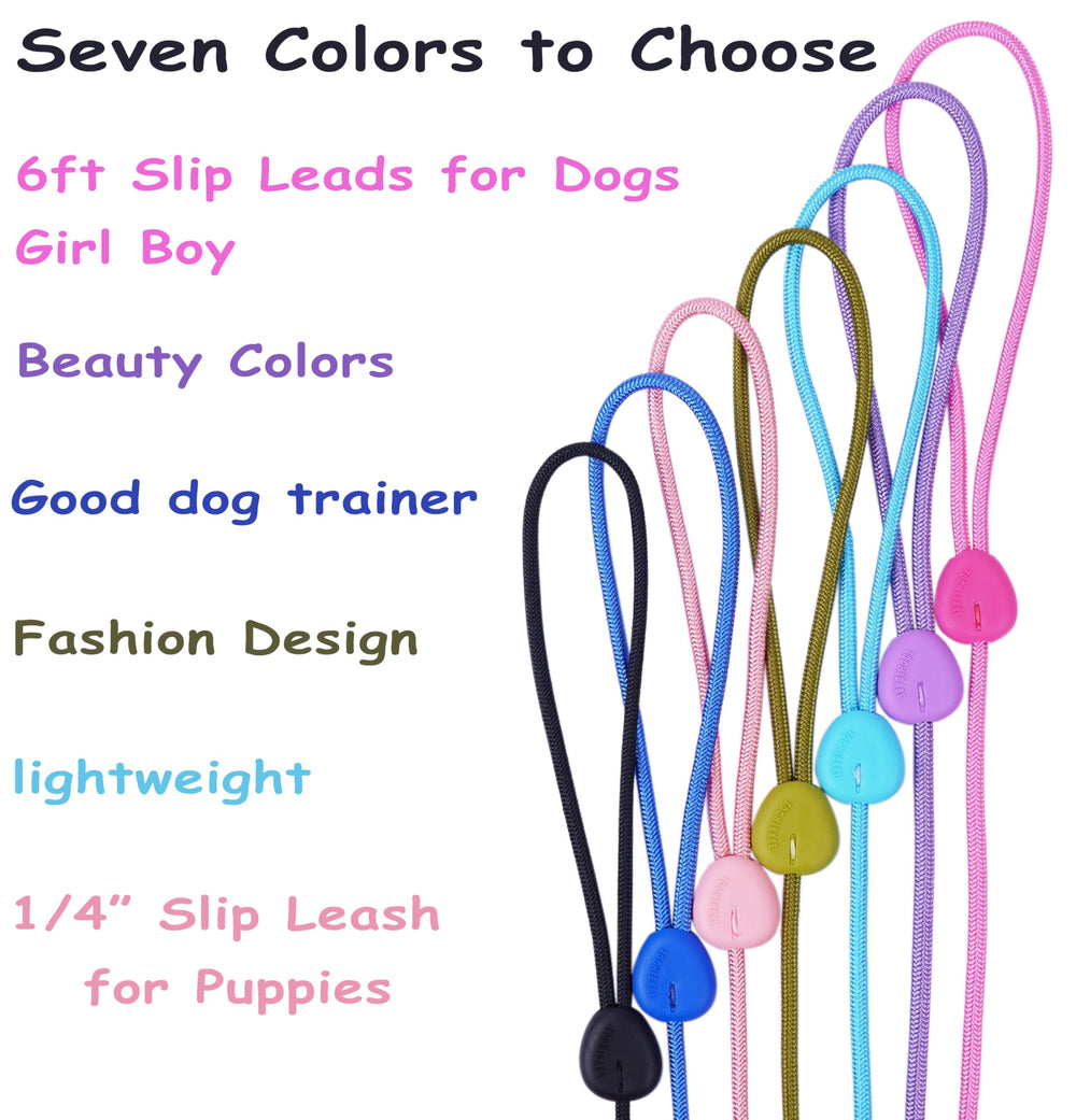 Tochibabe slip lead in use shows practical everyday canine control.