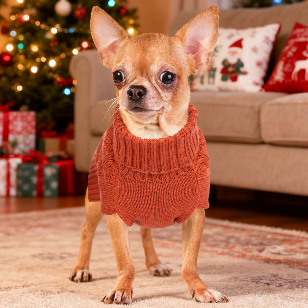 Tochibabe size chart image helps pick the right XS–XL fit for small breeds.