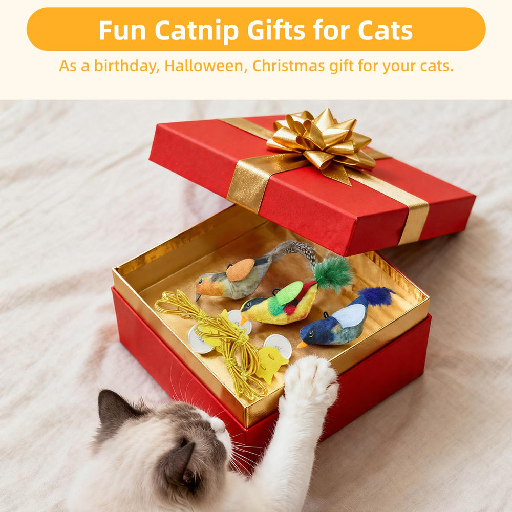 Tocirelo Colorful 3-Pack sparks curiosity with bright, engaging colors.