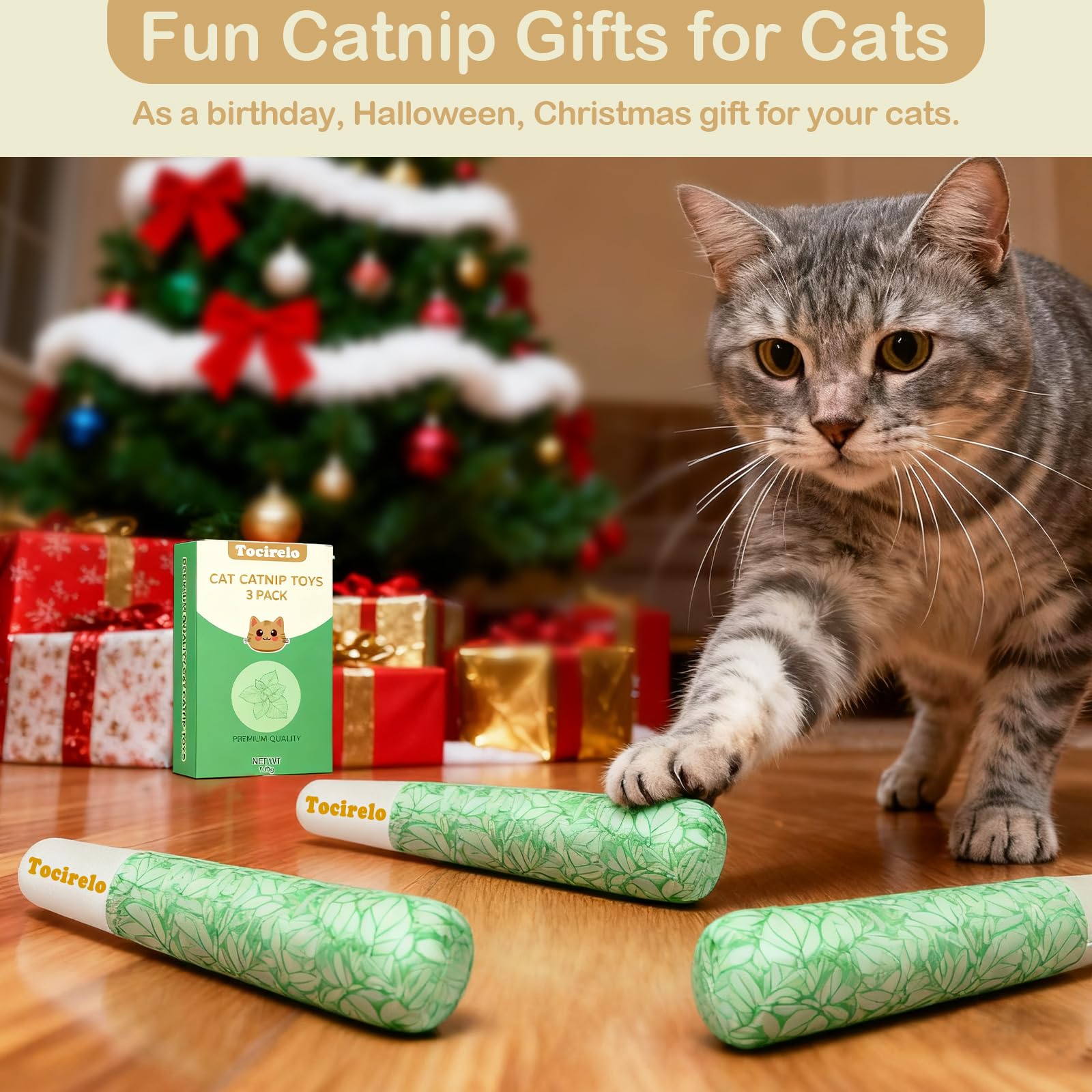 Tocirelo catnip toys indoor enrichment scene reveals safe, engaging cat play