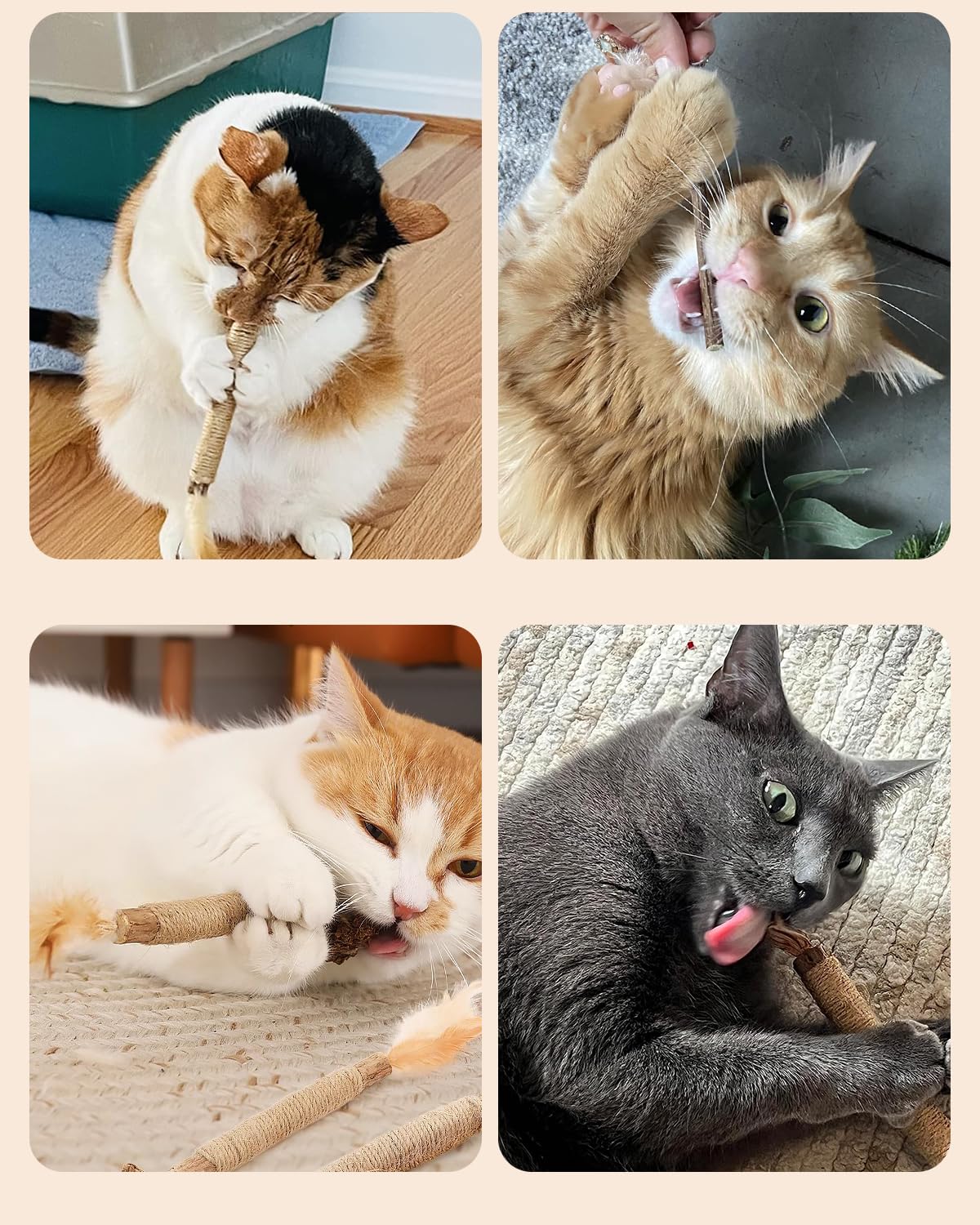 Tocirelo indoor cat relax play - calming engagement for indoor cats