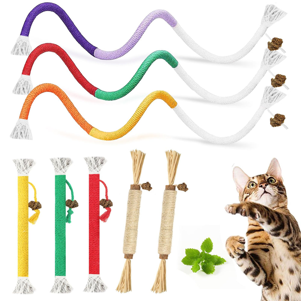 Tocirelo palitos silvervine para gatos, enfoque en mordisqueo suave.
