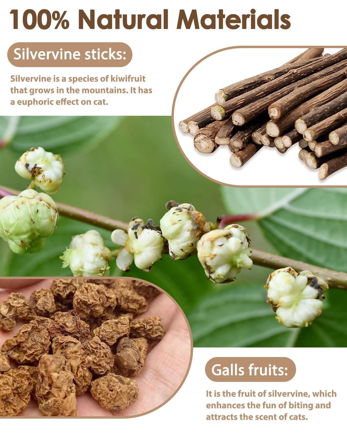 Tocirelo silvervine sticks close-up highlighting natural cat stimulant for relaxed play