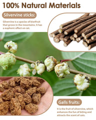 Tocirelo silvervine sticks closeup - natural stimulants spark interactive play