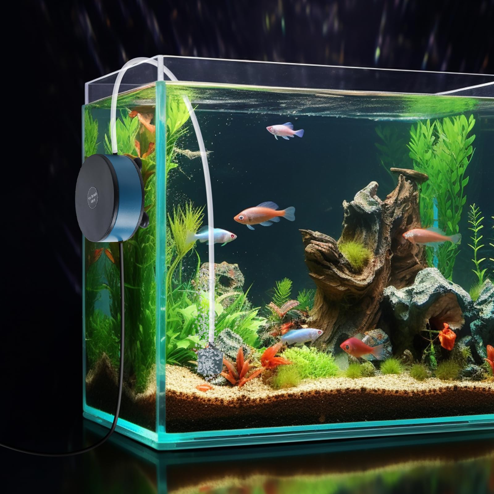 Todosy Nano Silent Pump quiet-operation captures near-silent performance during daily tank care
